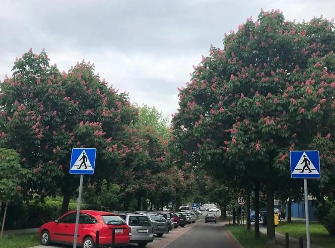 Appartement Comfort Grazynskiego 7a Katowice